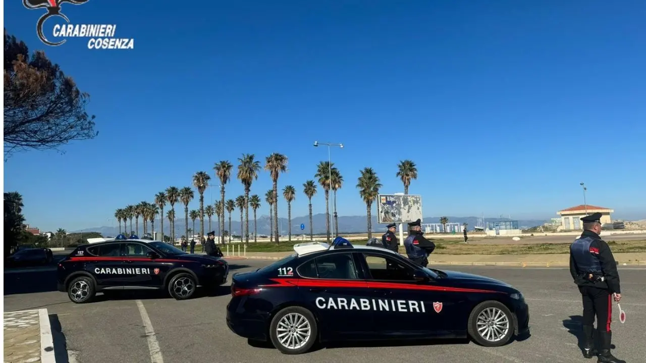 Arresti e sequestri di droga a Cosenza e provincia da parte dei Carabinieri