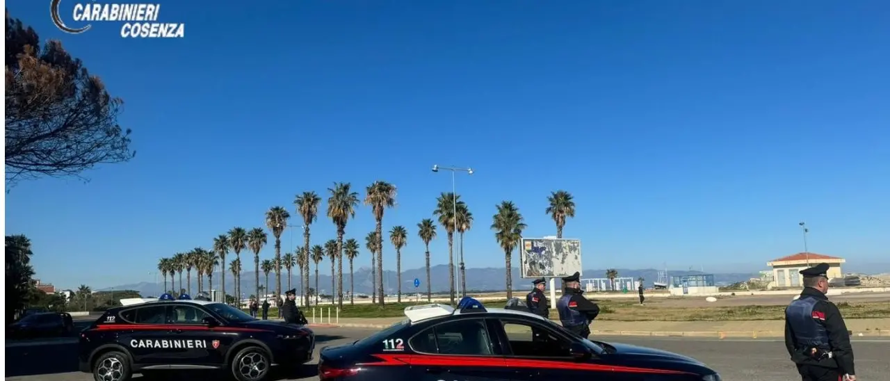 Arresti e sequestri di droga a Cosenza e provincia da parte dei Carabinieri