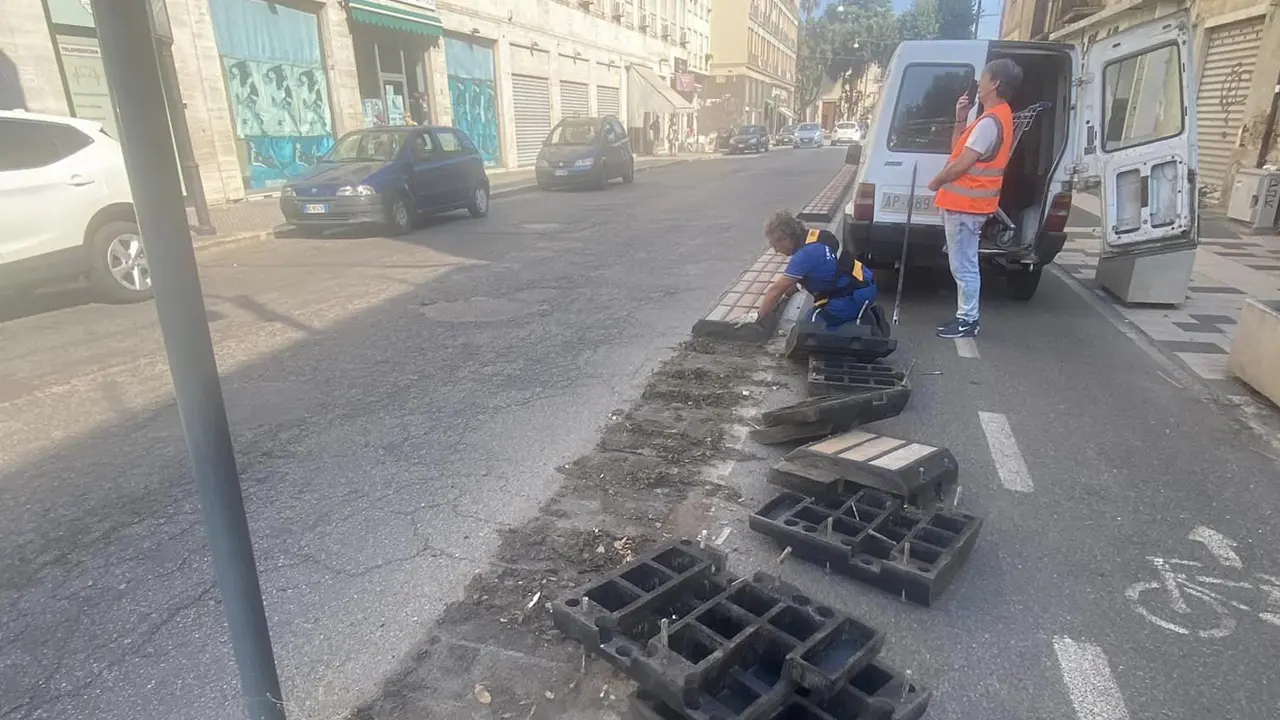 Cosenza, demolite le piste ciclabili di via Sertorio Quattromani