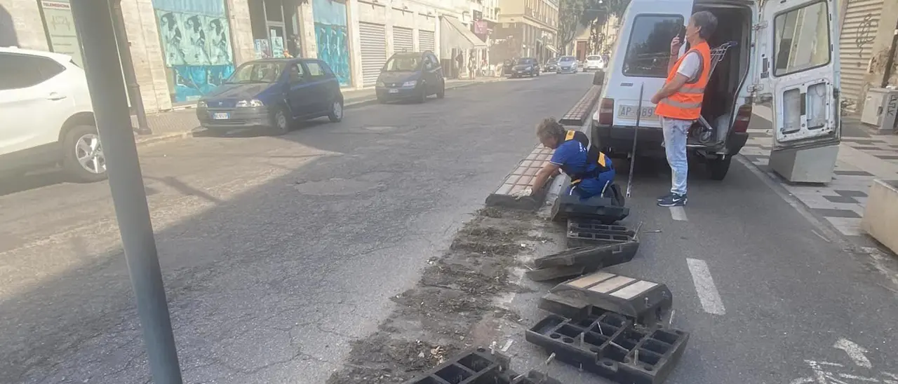 Cosenza, demolite le piste ciclabili di via Sertorio Quattromani