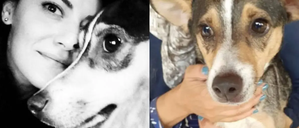 Cosenza, ritrovata sana e salva Lupetta: la cagnolina di Ilaria Mirabelli