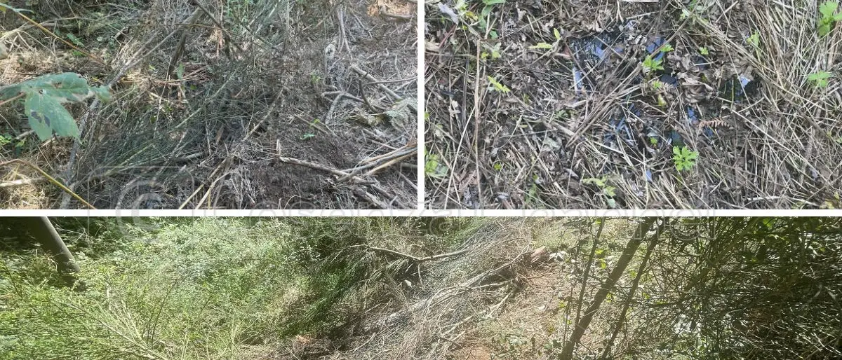 Morte di Ilaria Mirabelli, la 38enne e il ragazzo illeso si dirigevano verso Lorica