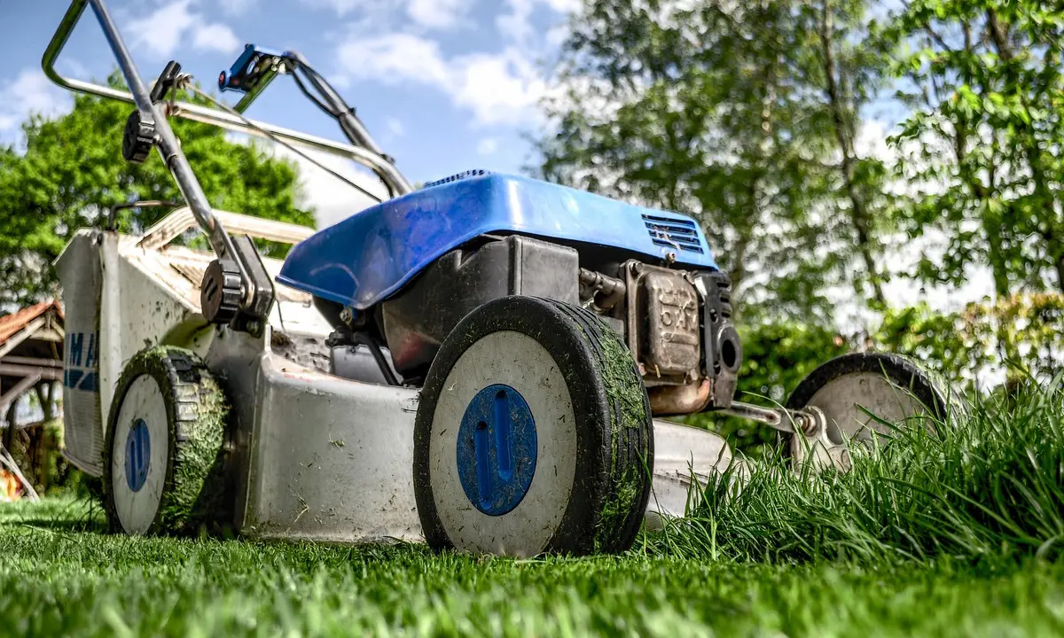 Roseto Capo Spulico, scattano le denunce contro gli atti estorsivi di un giardiniere