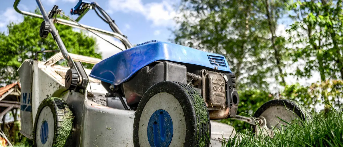 Roseto Capo Spulico, scattano le denunce contro gli atti estorsivi di un giardiniere