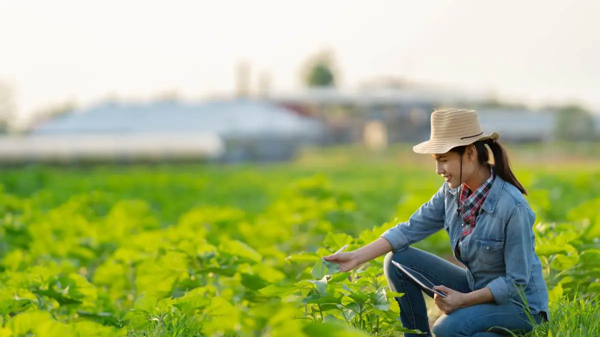 Farmer are planning to farm on tablets.