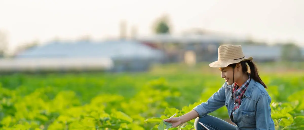 Caldo estremo, Occhiuto firma l'ordinanza: vietato il lavoro al sole nelle ore più critiche