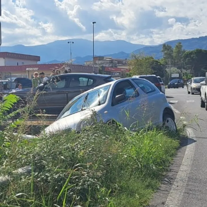 Incidente stradale a Corigliano: Yaris fuori strada per evitare un cane randagio