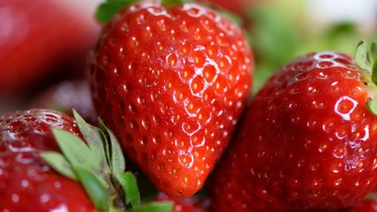 San Giovanni in Fiore ospita la \"Sagra della fragola e dei frutti rossi della Sila\"