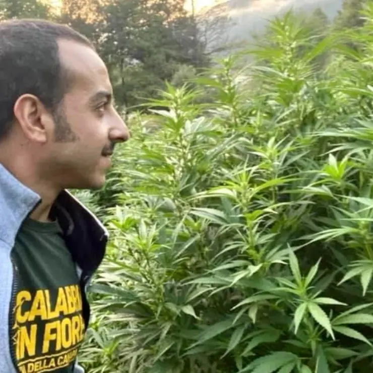Governo vieta la cannabis legale, imprese in ginocchio. Cusani: «Ci batteremo»