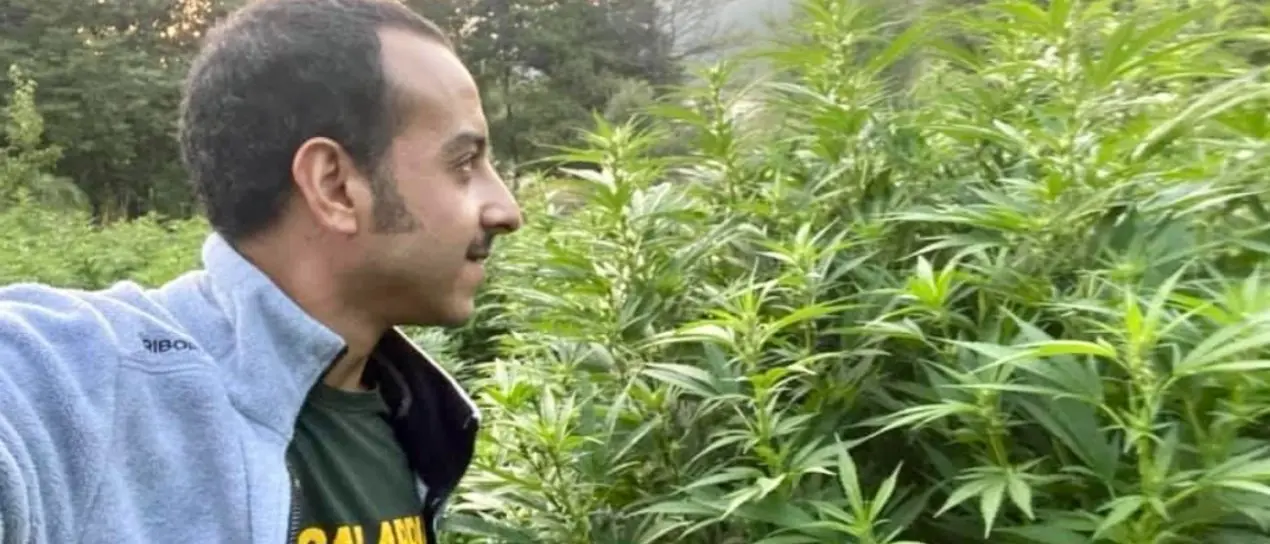 Governo vieta la cannabis legale, imprese in ginocchio. Cusani: «Ci batteremo»