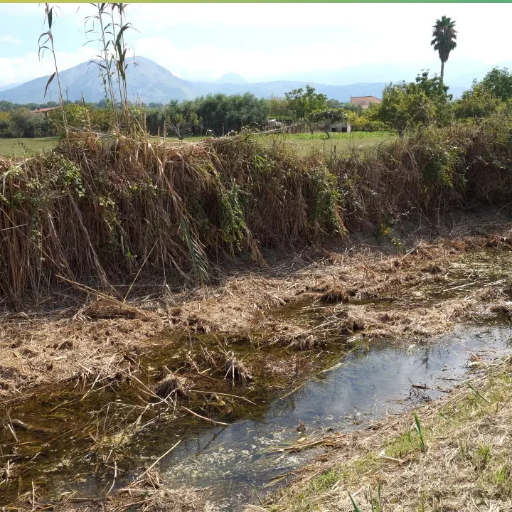 Rischio esondazione del canale Revoce di Scalea, Orrico: «Sporco e colmo, malori nel vicinato»