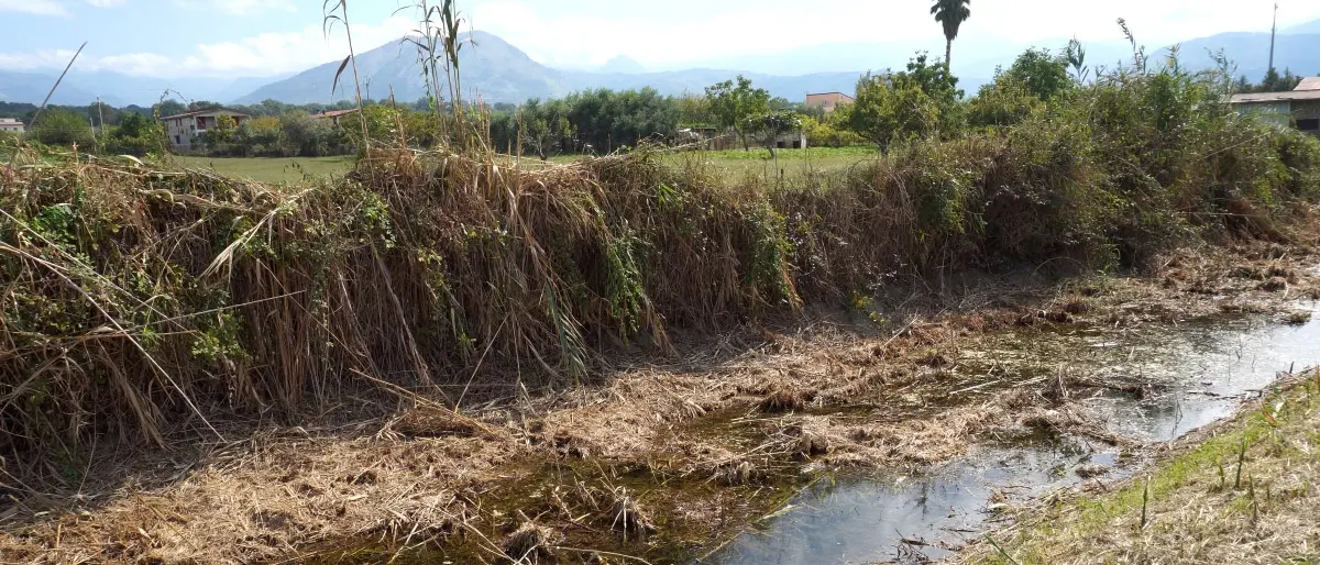 Rischio esondazione del canale Revoce di Scalea, Orrico: «Sporco e colmo, malori nel vicinato»