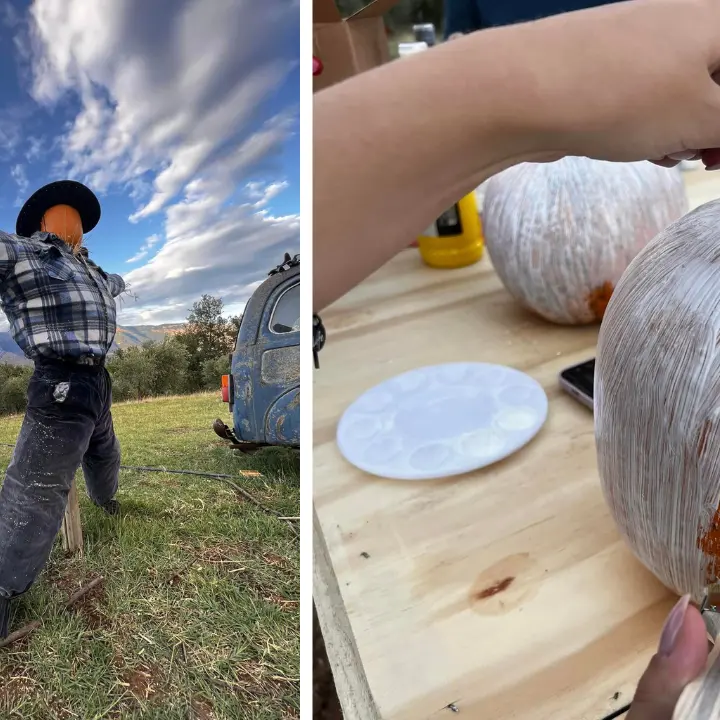 La regina di Halloween è Saracena. Lì sorge il primo pumpkin patch: la valle delle zucche