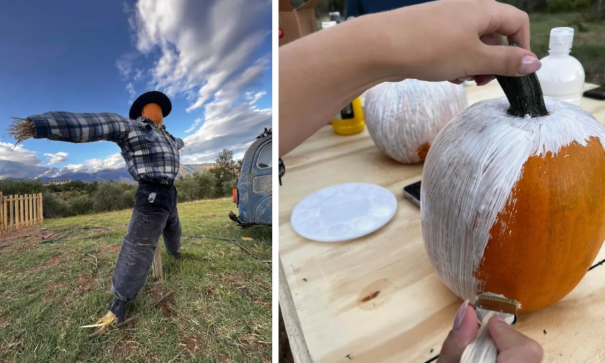 La regina di Halloween è Saracena. Lì sorge il primo pumpkin patch: la valle delle zucche