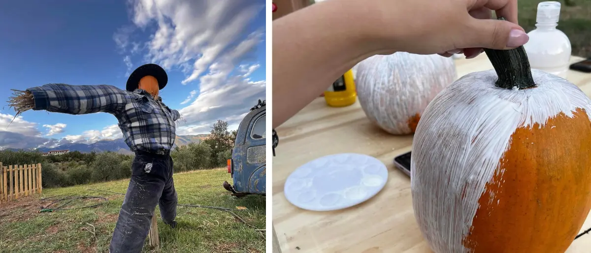 La regina di Halloween è Saracena. Lì sorge il primo pumpkin patch: la valle delle zucche
