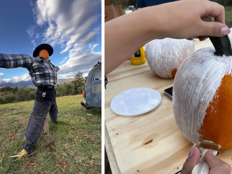 La regina di Halloween è Saracena. Lì sorge il primo pumpkin patch: la valle delle zucche
