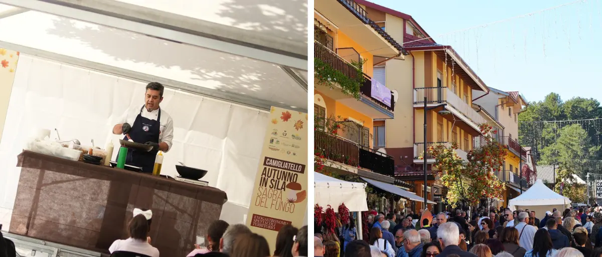 Sagra del Fungo 2024 a Camigliatello Silano: affluenza da record
