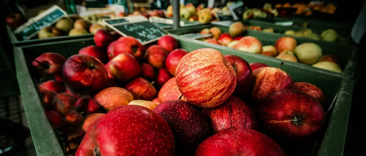 Omicidio Bellocco, non solo San Siro: gli occhi della 'ndrangheta sulla Germania