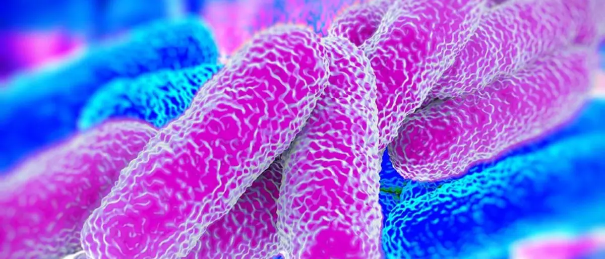 Casi di Legionellosi in provincia di Cosenza, l'Asp invia un'informativa ai sindaci