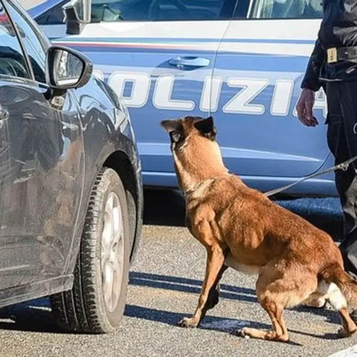 Valle dell'Esaro nel vortice del narcotraffico, i segnali sono sempre più chiari