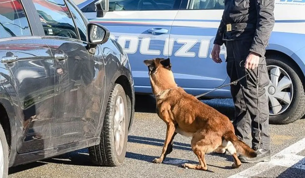 Valle dell'Esaro nel vortice del narcotraffico, i segnali sono sempre più chiari