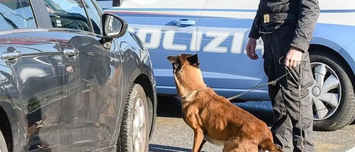 Valle dell'Esaro nel vortice del narcotraffico, i segnali sono sempre più chiari