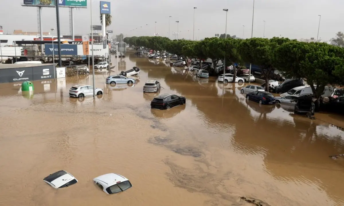 Unical, evento solidale con raccolta fondi per l'alluvione di Valencia
