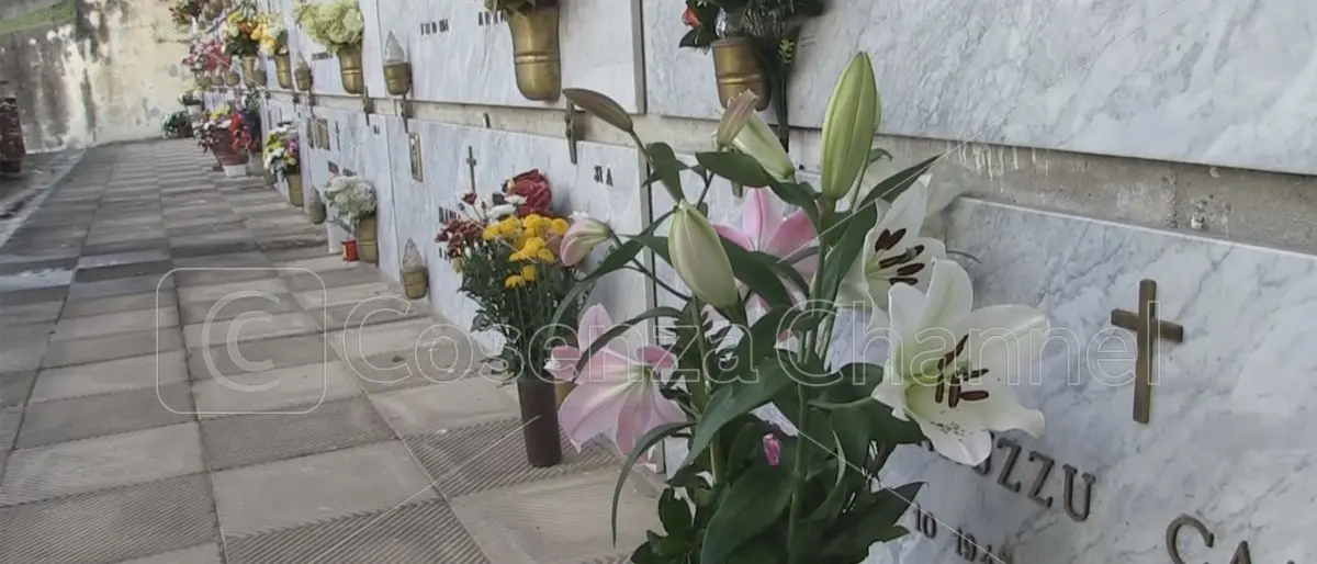 Cosenza, IdM fa le pulci a Caruso: «7400 euro per piante di ciclamini e crisantemi»