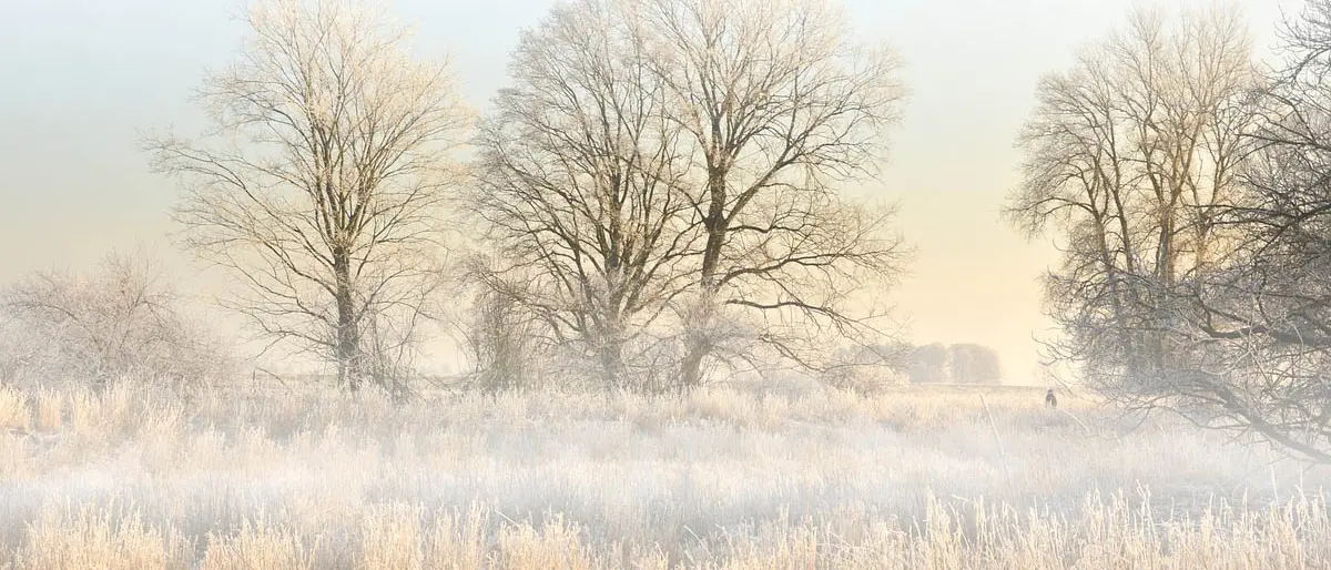 Meteo Cosenza, leggero calo delle temperature ed escursione termica