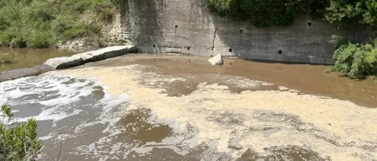 Scala Coeli, a due anni dal disastro ecologico è calato il silenzio. Legambiente denuncia