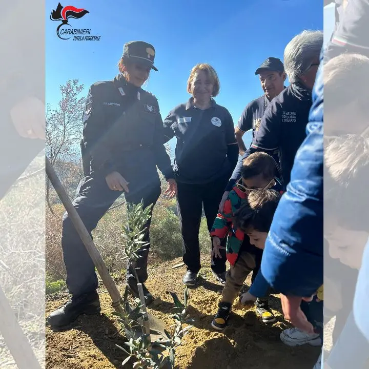 I carabinieri forestale donano ai bambini di Luzzi una pianta d’ulivo simbolo della rinascita