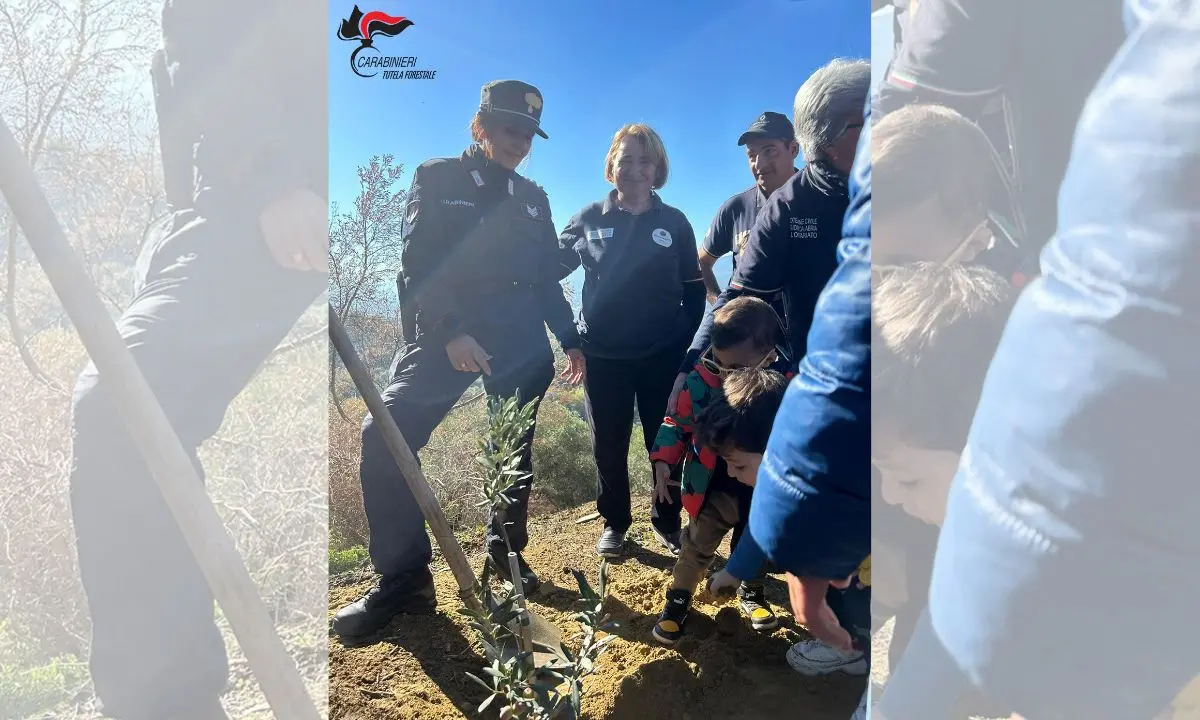 I carabinieri forestale donano ai bambini di Luzzi una pianta d’ulivo simbolo della rinascita