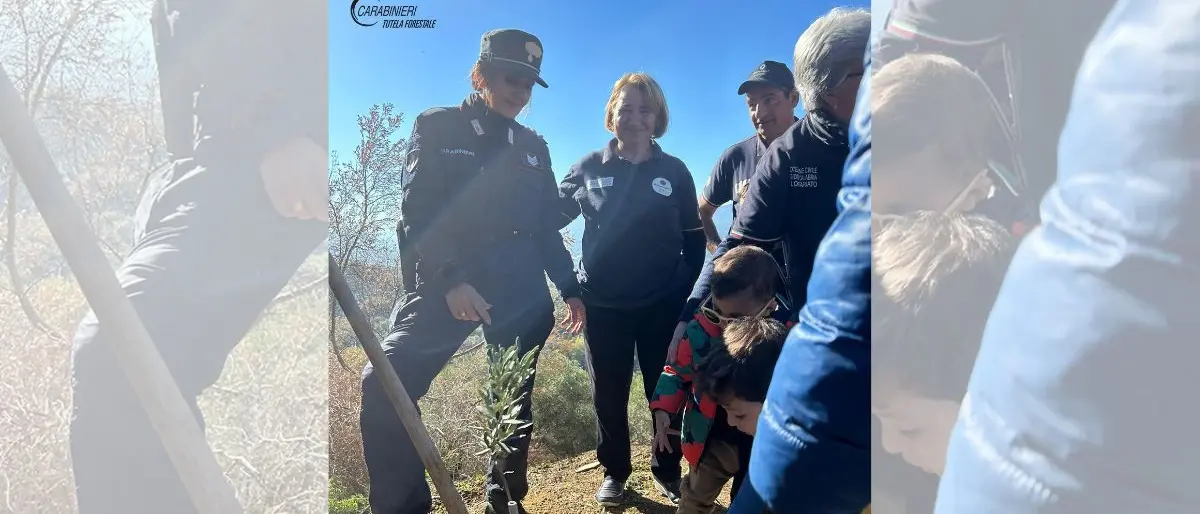 I carabinieri forestale donano ai bambini di Luzzi una pianta d’ulivo simbolo della rinascita