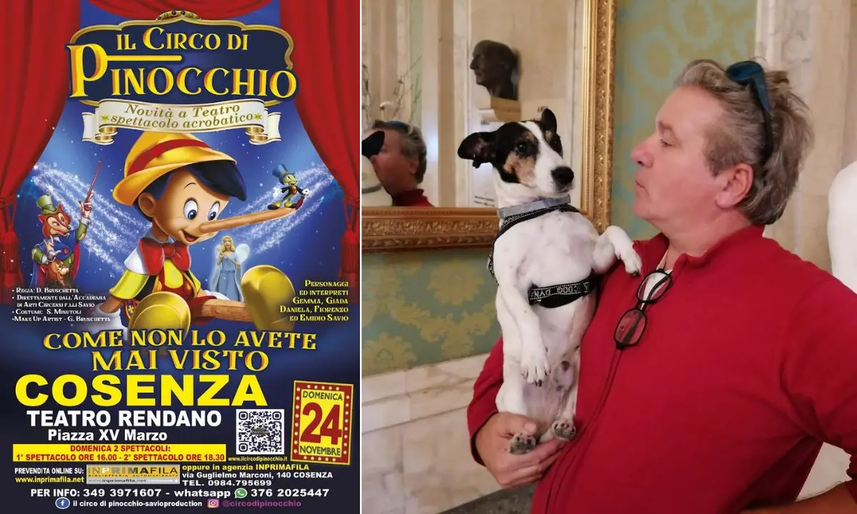 Il circo di Pinocchio promette di stupire, appuntamento al Rendano di Cosenza