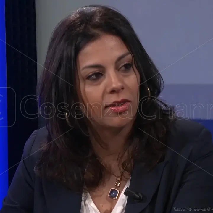 Mendicino, Bucarelli: «Bugie da Palermo e Greco. Internalizzare i tributi migliorerà l'efficienza»