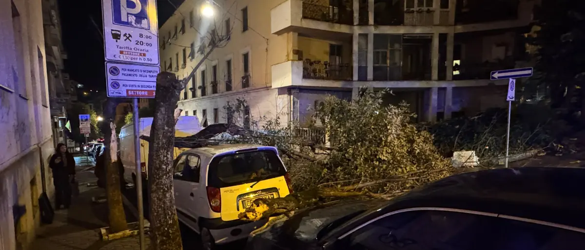 Vento forte a Cosenza e provincia, colpita Castrolibero | FOTO