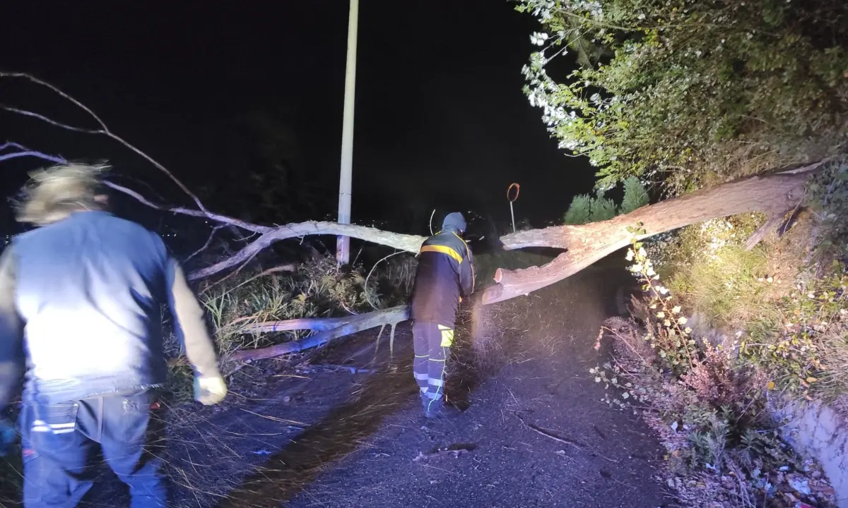 Venti di uragano sulla provincia di Cosenza, danni e interventi senza sosta nella notte