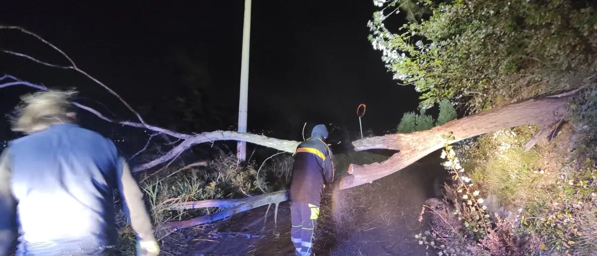 Venti di uragano sulla provincia di Cosenza, danni e interventi senza sosta nella notte