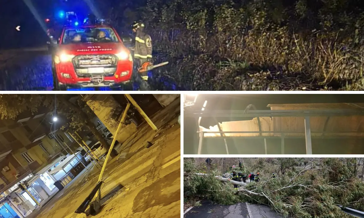 Maltempo a Cosenza fra alberi in strada e semafori sradicati | FOTO