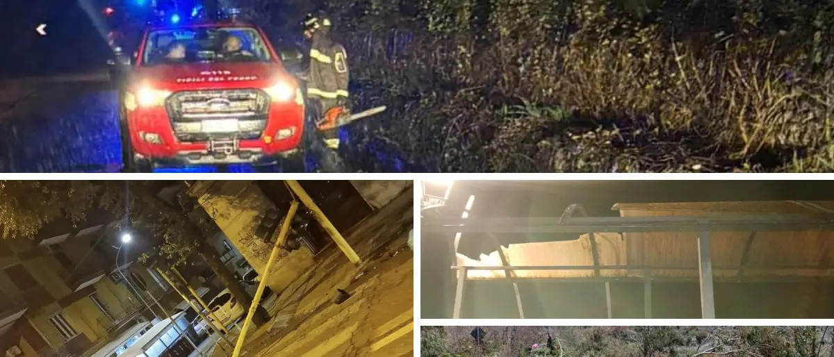 Maltempo a Cosenza fra alberi in strada e semafori sradicati | FOTO