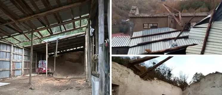 Maltempo, danni anche alle aziende agricole tra Sila e Valle del Crati