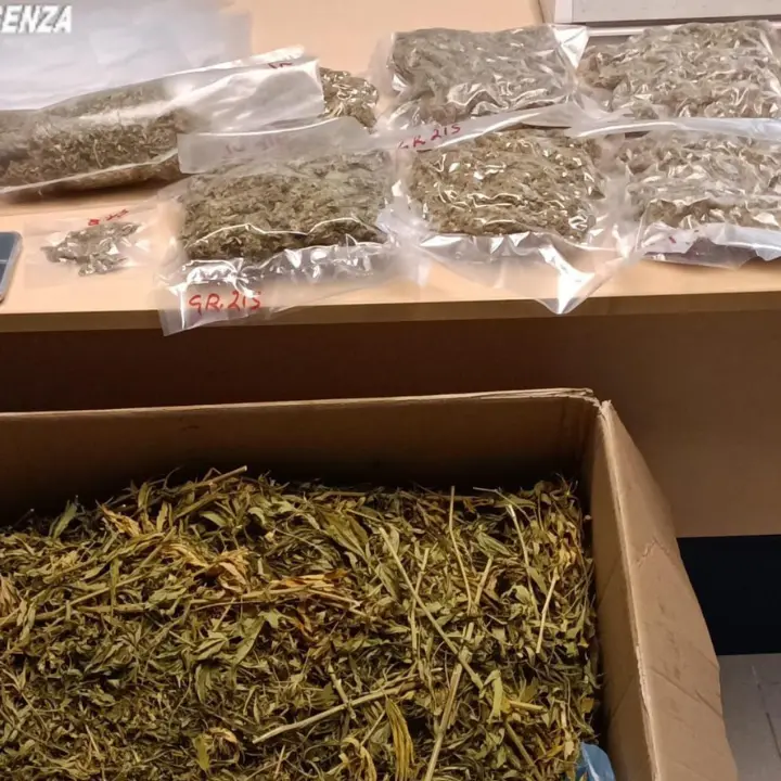 Buonvicino, arrestata una coppia trovata con due chili di marijuana in casa