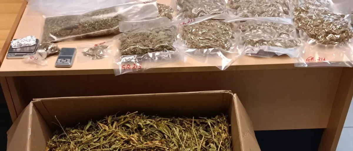 Buonvicino, arrestata una coppia trovata con due chili di marijuana in casa