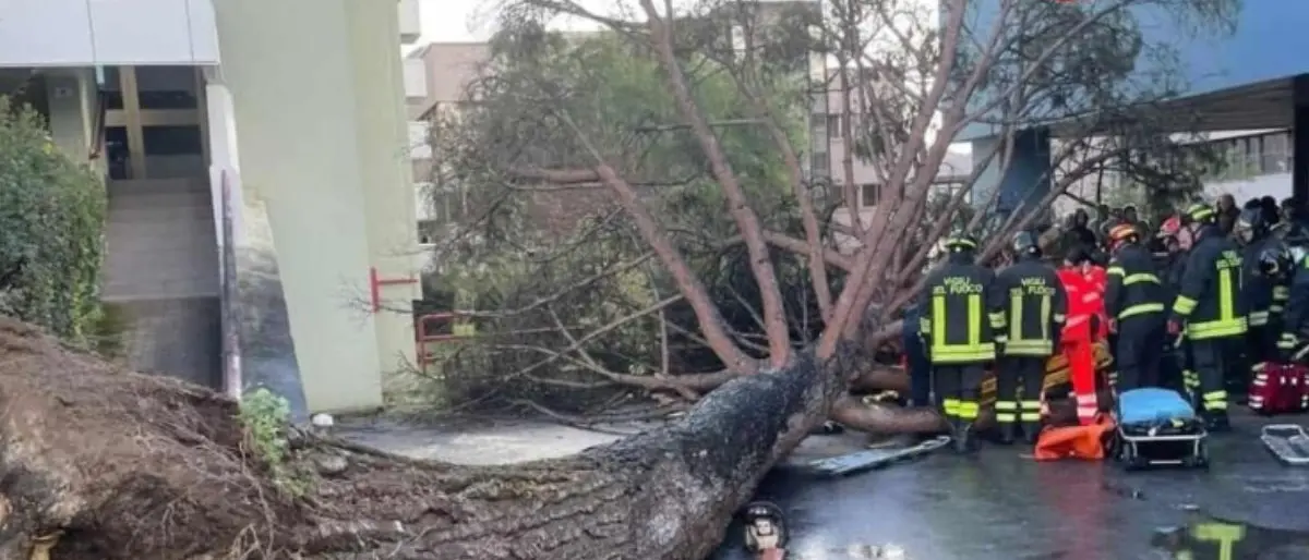 Fisciano, albero cade nel campus: cinque studenti feriti