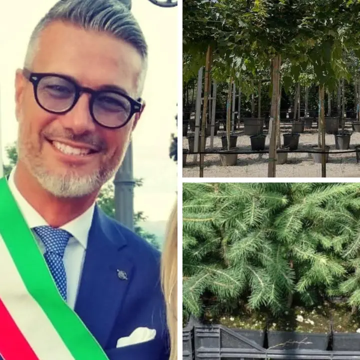 Castrolibero, 100 nuovi alberelli da piantumare grazie ad un accordo con Calabria Verde