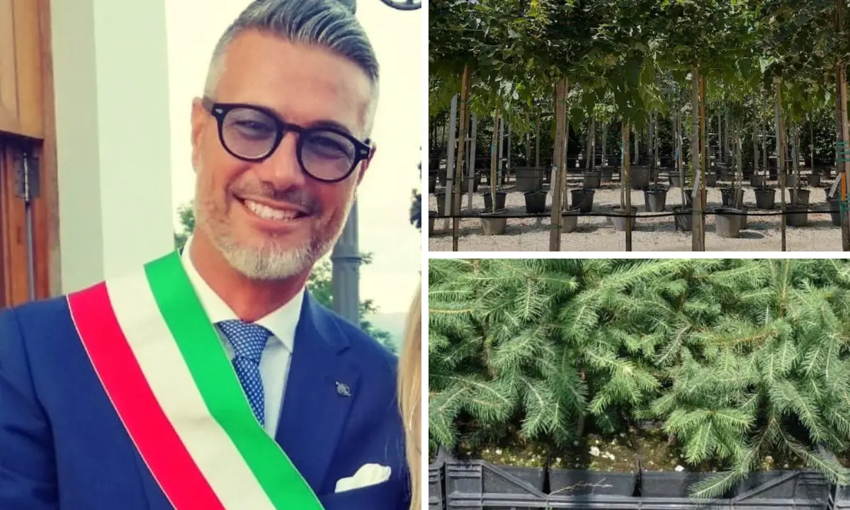 Castrolibero, 100 nuovi alberelli da piantumare grazie ad un accordo con Calabria Verde
