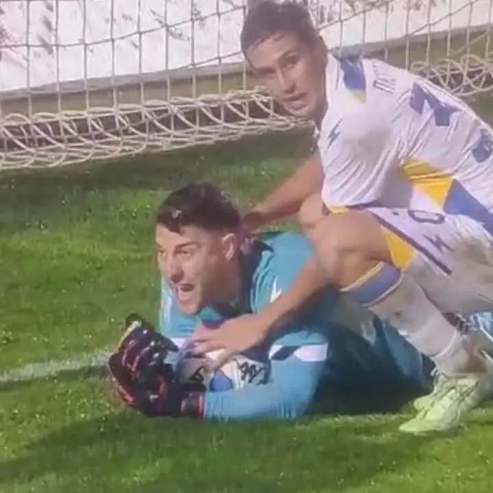 Cosenza-Frosinone, il fallo di mano che ha scatenato le ire di Alvini