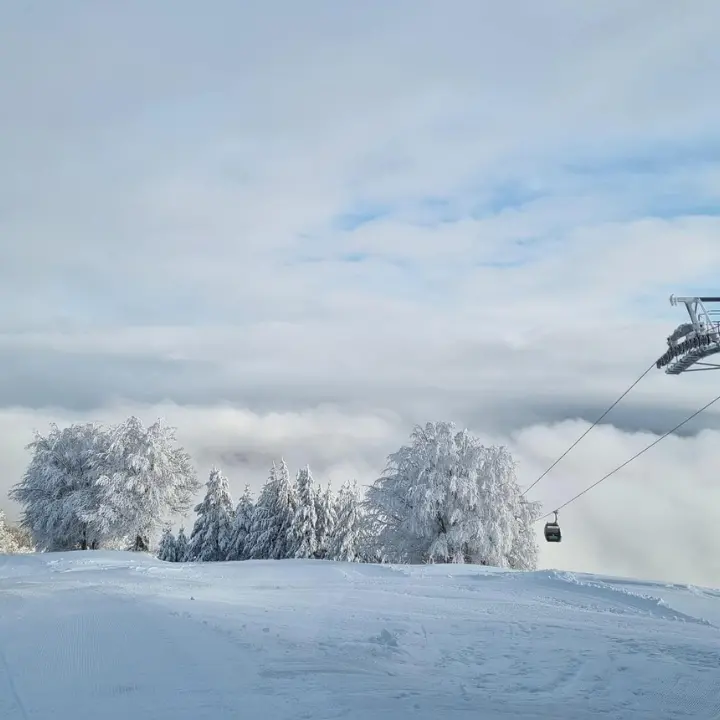 Cabinovia e piste chiuse a Camigliatello Silano e Lorica: aggiornamenti e informazioni utili