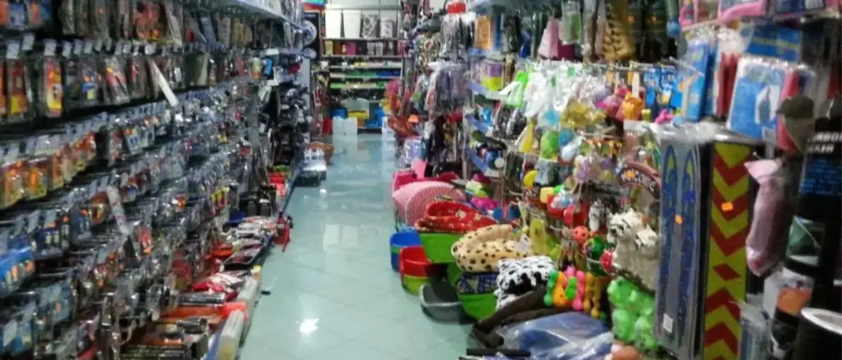 Cosenza, respinto il ricorso di un commerciante cinese: sì al sequestro dei beni per reati fiscali