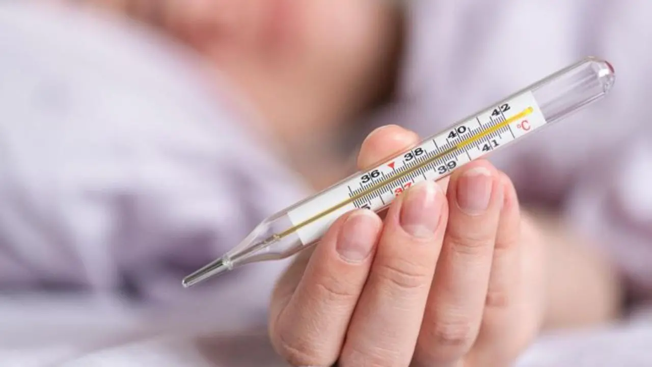 Calabria e influenza, non attivata la sorveglianza epidemiologica